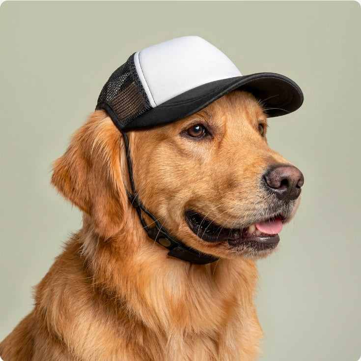 Dog Foam Trucker Hat The Used Tool Truck